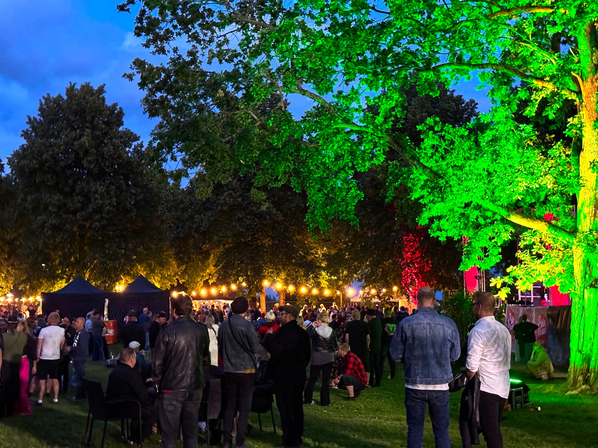 Pirtinvirran puistojuhlat Varkaudessa